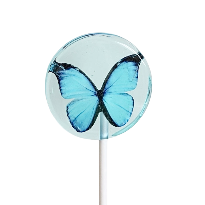 Sucette sans sucre - Myrtille